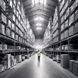 Clothing and Footwear